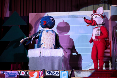 576-F28_0936